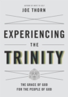 Experiencing the Trinity - eBook