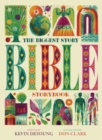 The Biggest Story Bible Storybook - Book