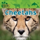 Cheetahs - eBook