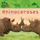 Rhinoceroses - eBook