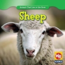 Sheep - eBook