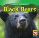 Black Bears - eBook