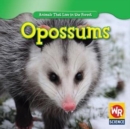 Opossums - eBook