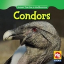Condors - eBook