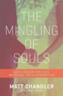 The Mingling of Souls - Book