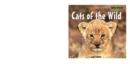 Cats of the Wild - eBook