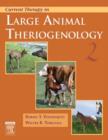 Current Therapy in Large Animal Theriogenology - eBook