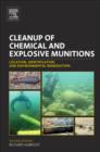 Cleanup of Chemical and Explosive Munitions : Location, Identification and Environmental Remediation - eBook