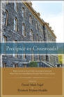 Precipice or Crossroads? : Where America's Great Public Universities Stand and Where They Are Going Midway through Their Second Century - eBook