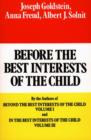 Before the Best Interests of the Child - eBook