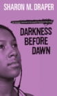 Darkness Before Dawn - eBook