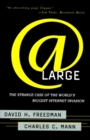 At Large : The Strange Case of the World's Biggest Internet Invasion - eBook