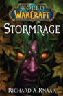 World of Warcraft: Stormrage - eBook