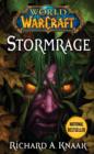 World of Warcraft: Stormrage - Book