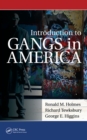 Introduction to Gangs in America - eBook