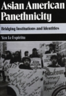 Asian American Panethnicity : Bridging Institutions and Identities - eBook