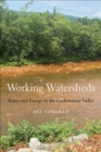 Working Watersheds : Water and Energy in the Lackawanna Valley - Book