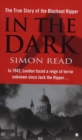 In the Dark - eBook