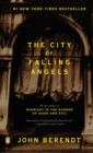 City of Falling Angels - eBook