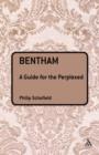 Bentham: A Guide for the Perplexed - eBook