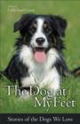 The Dog at My Feet : Stories of the Dogs We Love - eBook