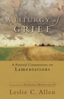 A Liturgy of Grief : A Pastoral Commentary on Lamentations - eBook