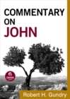 Commentary on John (Commentary on the New Testament Book #4) - eBook