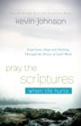 Pray the Scriptures When Life Hurts : Experience Hope and Healing Through the Power of God's Word - eBook