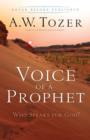 Voice of a Prophet : Who Speaks for God? - eBook
