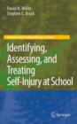 Identifying, Assessing, and Treating Self-Injury at School - eBook