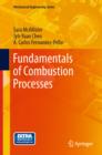 Fundamentals of Combustion Processes - eBook