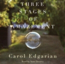 Three Stages of Amazement : A Novel - eAudiobook