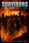 Fire : Chicago, 1871 - eBook