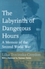 The Labyrinth of Dangerous Hours : A Memoir of the Second World War - eBook