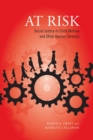 At Risk : Social Justice in Child Welfare and Other Human Services - eBook
