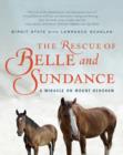 The Rescue of Belle and Sundance : A Miracle on Mount Renshaw - eBook