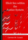 None Illicit Sex within the Justice System : Using Weak Power to Legislate, Regulate and Enforce Morality - eBook