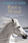 The One Dollar Horse: Race the Wind : Book 2 - eBook