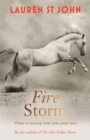 The One Dollar Horse: Fire Storm : Book 3 - Book