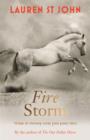 The One Dollar Horse: Fire Storm : Book 3 - eBook