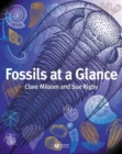 Fossils at a Glance - eBook
