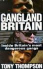 Gangland Britain : Inside Britain's most dangerous gangs - eBook