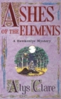 Ashes of the Elements - eBook