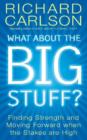 What About the Big Stuff? - eBook