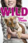 1: Tiger Trouble - eBook