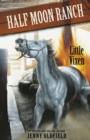 Little Vixen : Book 10 - eBook