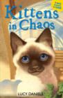 Kittens in Chaos : Siamese in the Sun & Cat in the Candlelight - eBook