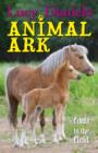 Foals in the Field - eBook