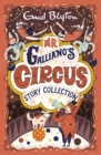 Mr Galliano's Circus Story Collection - eBook