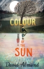 The Colour of the Sun - Book